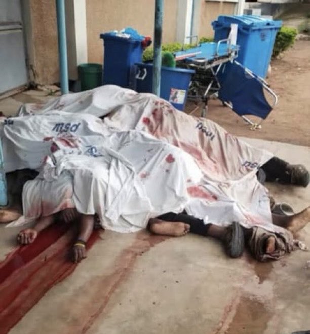 GreaterThinker💎 tweet media