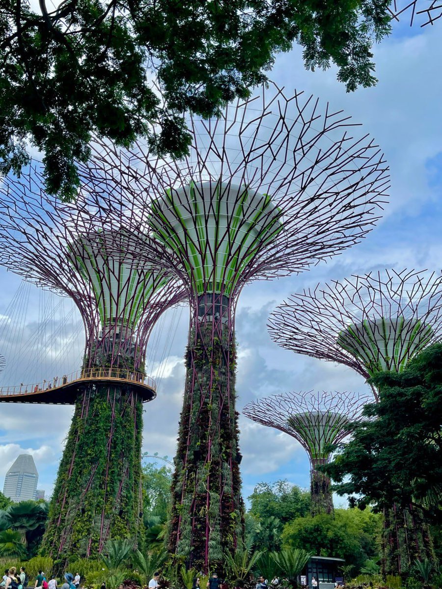 fuwheee's tweet image. Nature never goes out of style 🌿📷