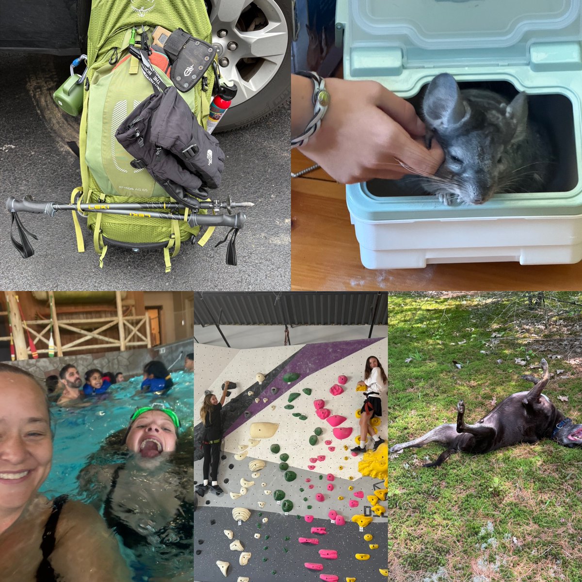 At Comport, we believe in the power of taking a step back to recharge. That’s why we recently embraced a three-day weekend, giving our employees an unplugged day to rest, relax, and reconnect. We went hiking, climbing, played with pets and more!