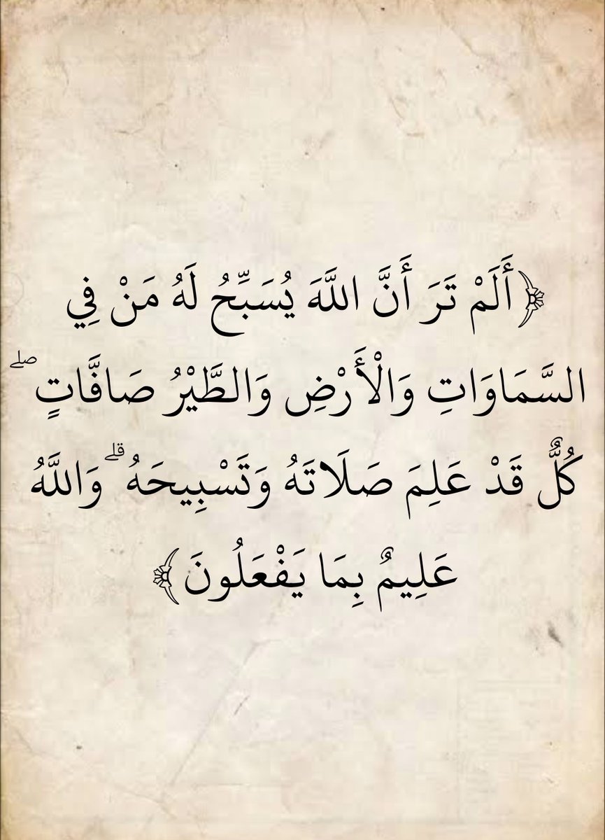 المُصْحَف (@almosahf) on Twitter photo 