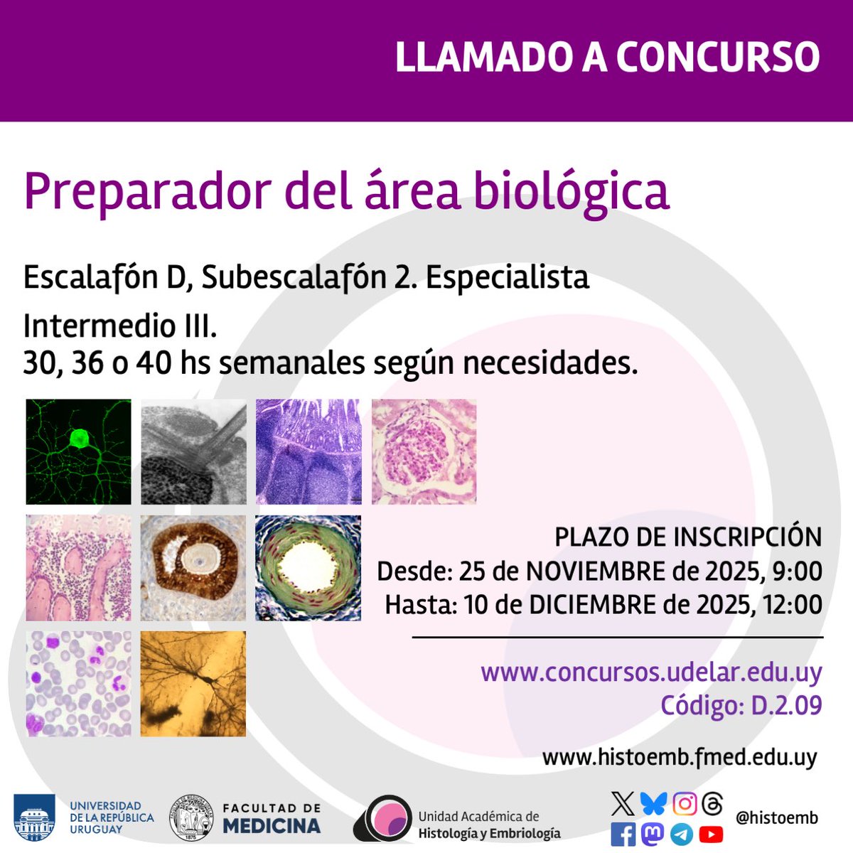 📣 Reiteramos llamado: 
Preparador del área Biológica

🚨 Cierre: 10/12/25

Más información: 

histoemb.fmed.edu.uy/noticias/2025/…