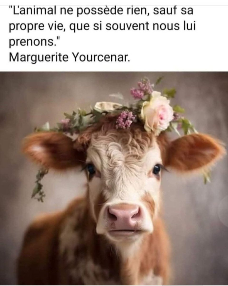 😾😼PREVEL😾😼 tweet media