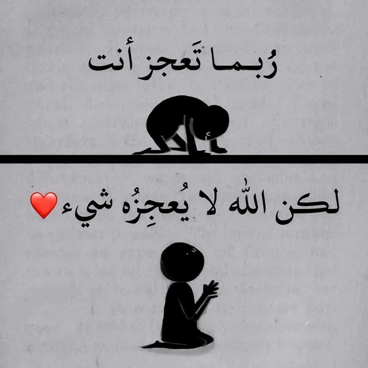 hmzzhran's tweet image. 