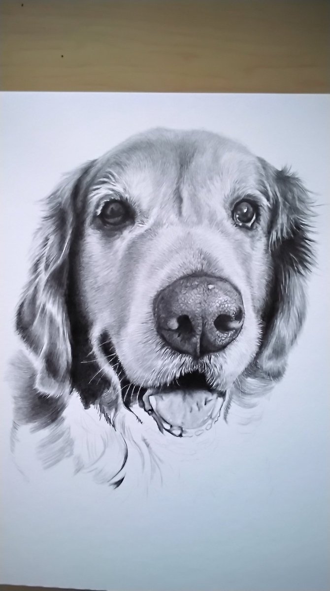 #wip Too much sadness today so here's a beautiful smile developing. 💕🐶🐾🌈💔