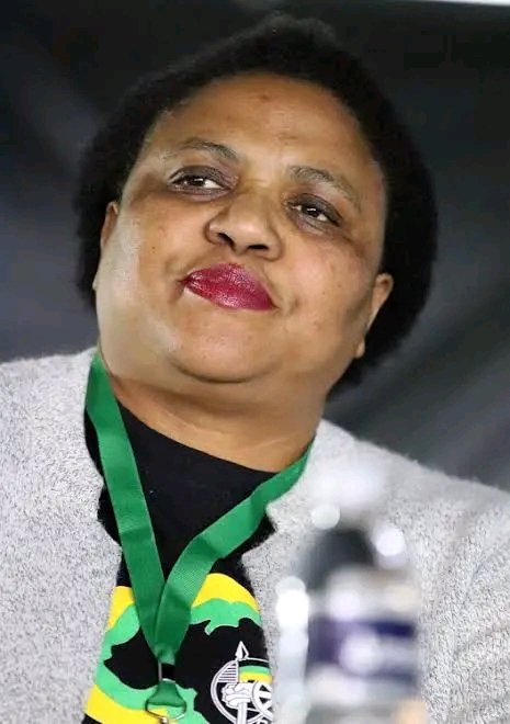 Would You Vote For Thoko Didiza as President?

Retweet for YES
Like for NO

Luthuli House Birchwood #ANCNGC2025 #ANCNGC ANC NGC