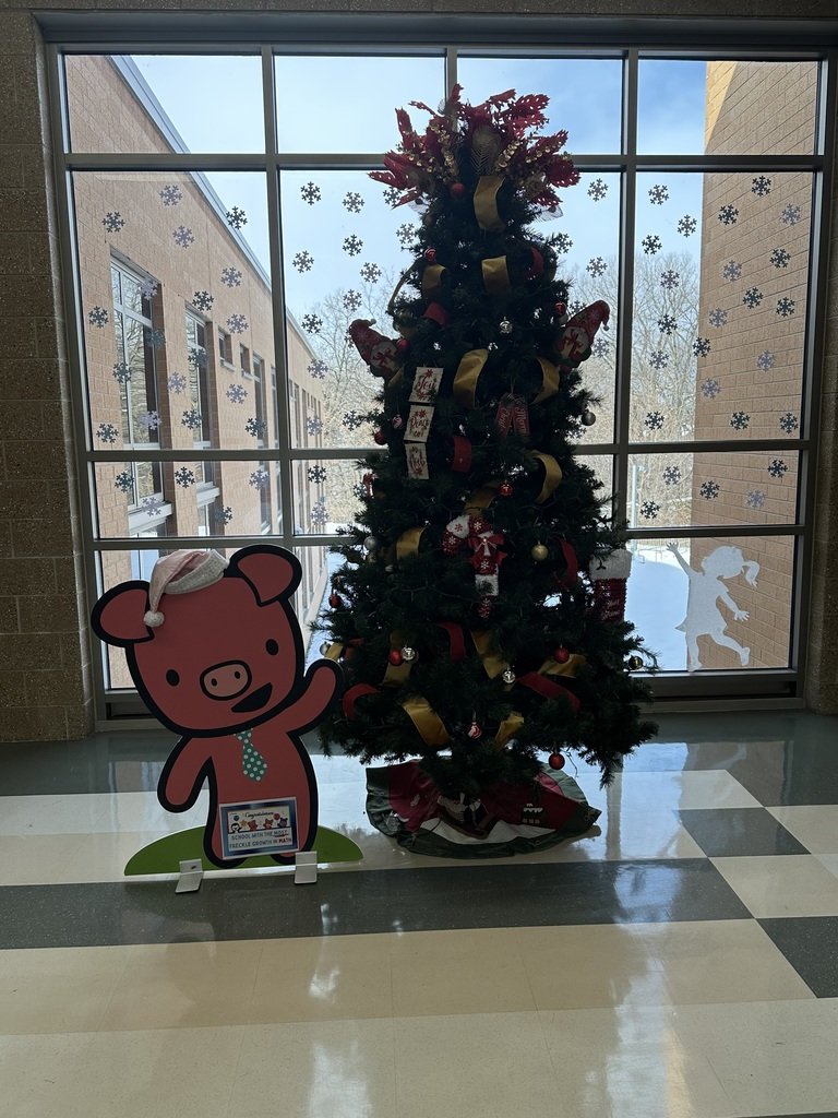 Singleton Elementary tweet media