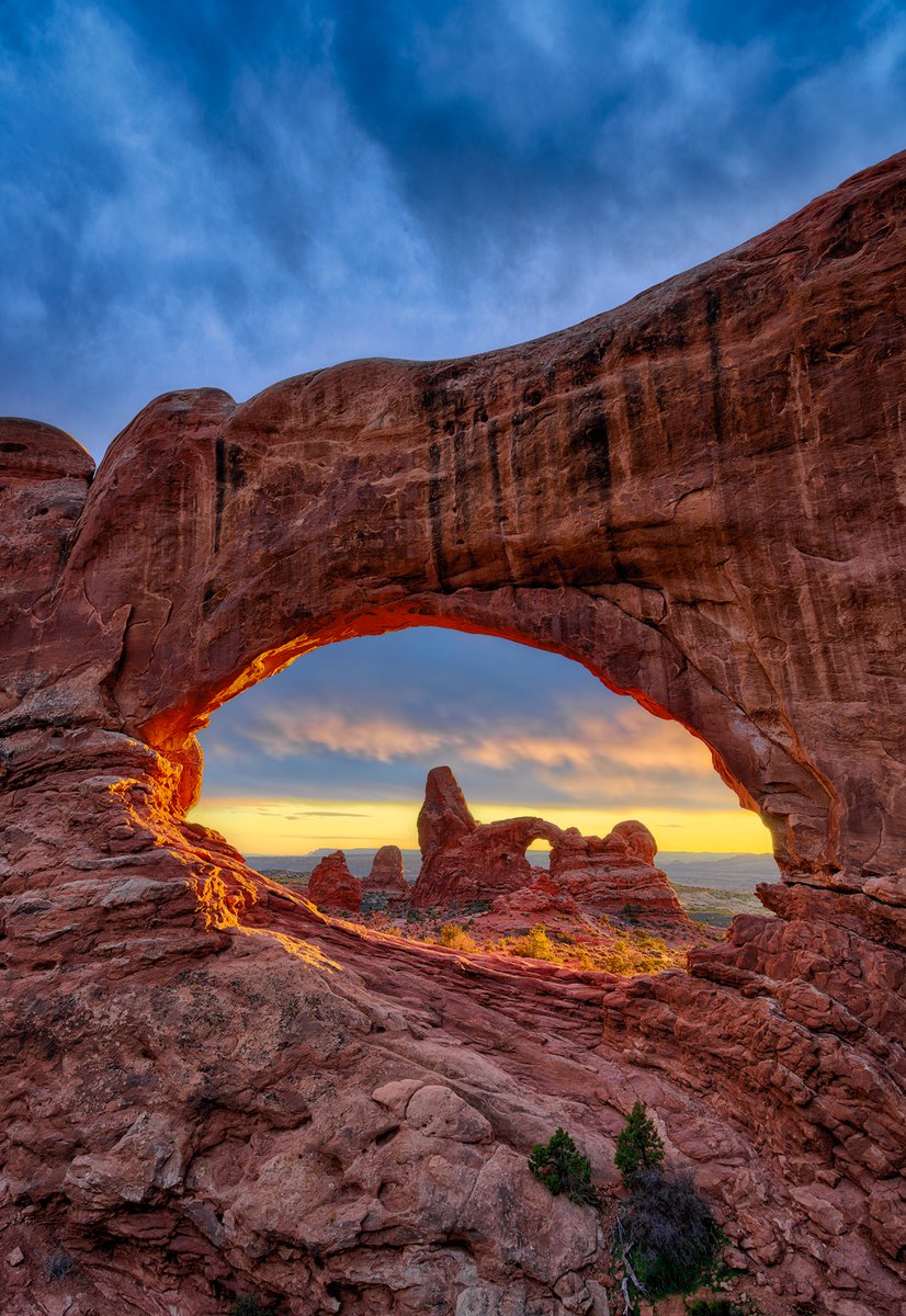 Peter Lik tweet media