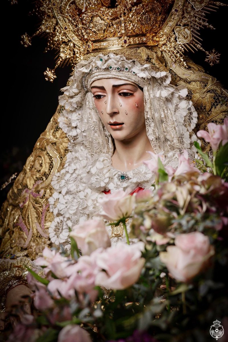 PilatusEgoSum's tweet photo. Desde la Roma Sevillana, desde la Sevilla Romana, buenas noches a todos los cofrades del mundo. Soñad con la Gloria. 

📷 Ángel Vega 

#HermandadDeLaRedencion 
#Redencion 
#Rocio 
#InmaculadaConcepcionDeMaria 
#SanMacario 
#TDSCofrade 
#Adviento2025 
#BuenasNoches https://t.co/hBrsRxCJHm