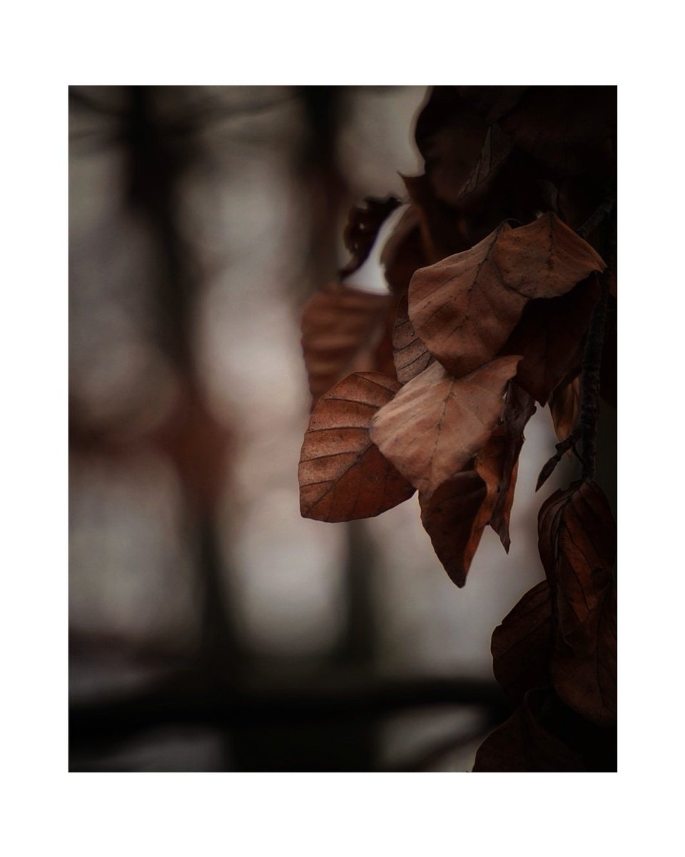 Marek Czartoryski (@markchortsnotes) on Twitter photo 