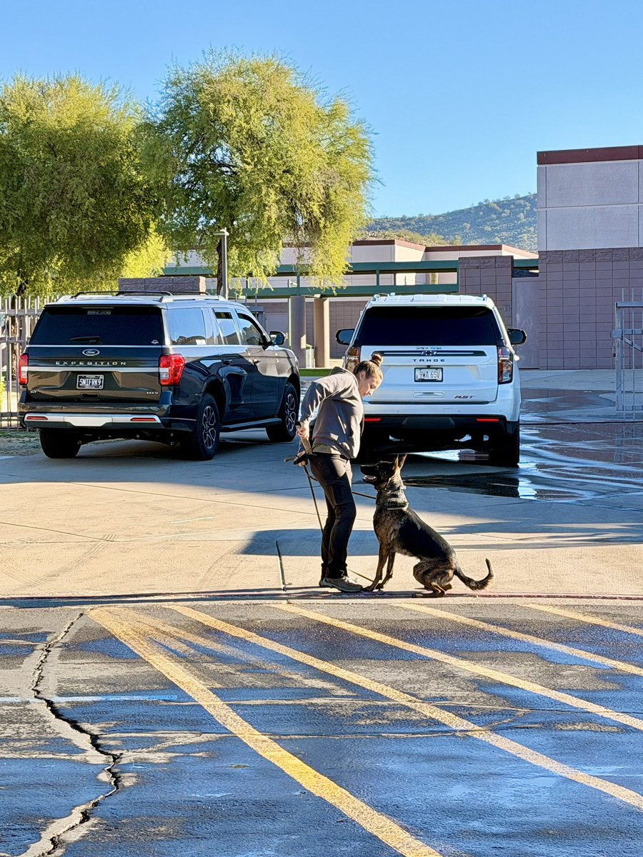 Mountain Ridge tweet media