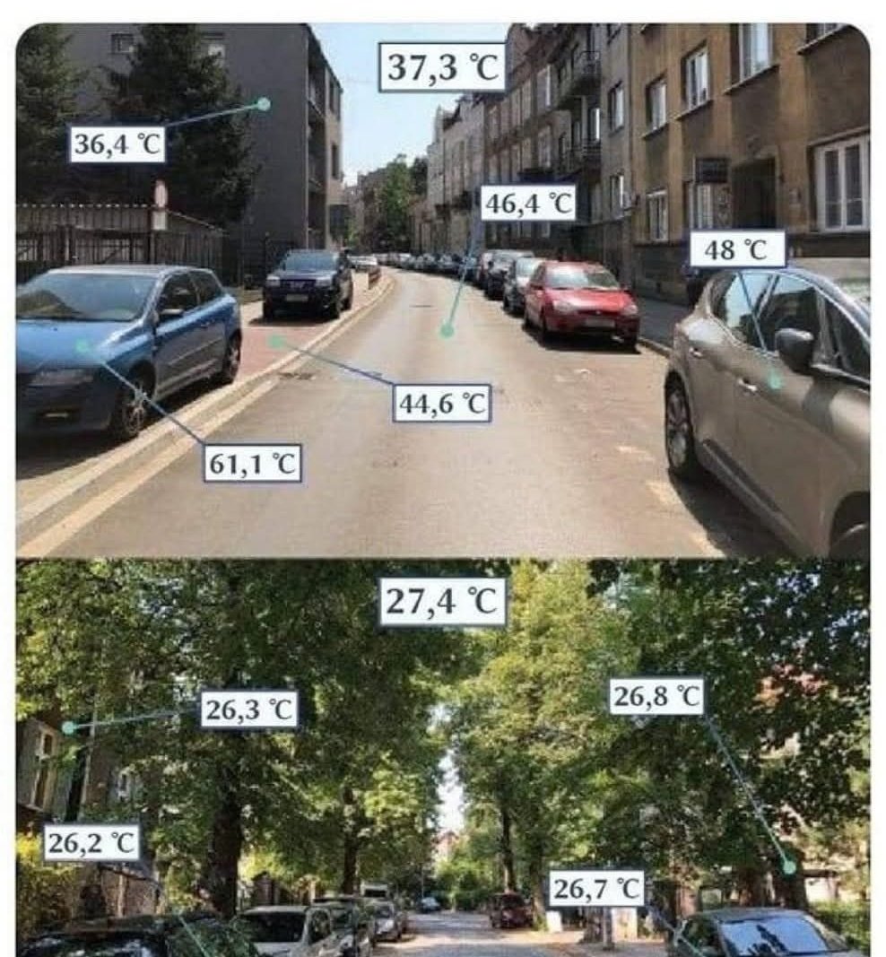 Sempre é bom lembrar que: