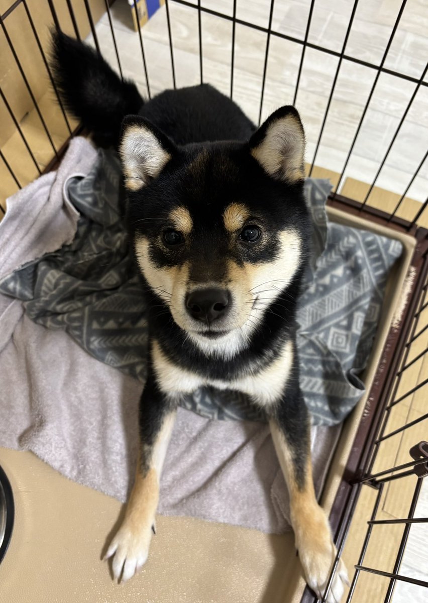 おはようございます。
今朝は少し暖かい朝ですよ〜
今日も始まりました〜