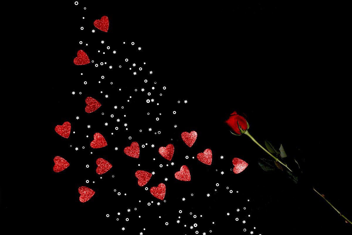 gardenofcolours's tweet photo. ･ ｡
   ｡　*
　･❤️*｡･
　　･ * ❤️｡ *
　 ･ ﾟ*｡･ﾟ｡
　　　   ･｡°*. ﾟ
*　　ﾟ｡·*･｡ ﾟ*
　　　ﾟ *.｡｡❤️　･
　　* ❤️｡･.  ﾟ*.｡
　　　 *　 ❤️･｡ *  ｡
　　　　･　　ﾟ❤️｡ https://t.co/KfexbHRtzZ