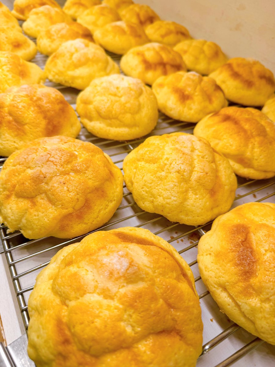 くまパン ブーベ (@kumapan_bu_be) / Posts / X