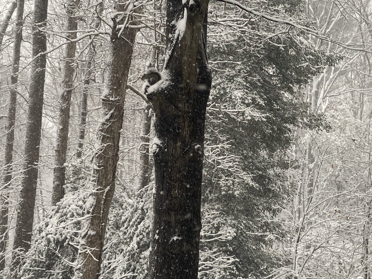 screenwritery's tweet image. 