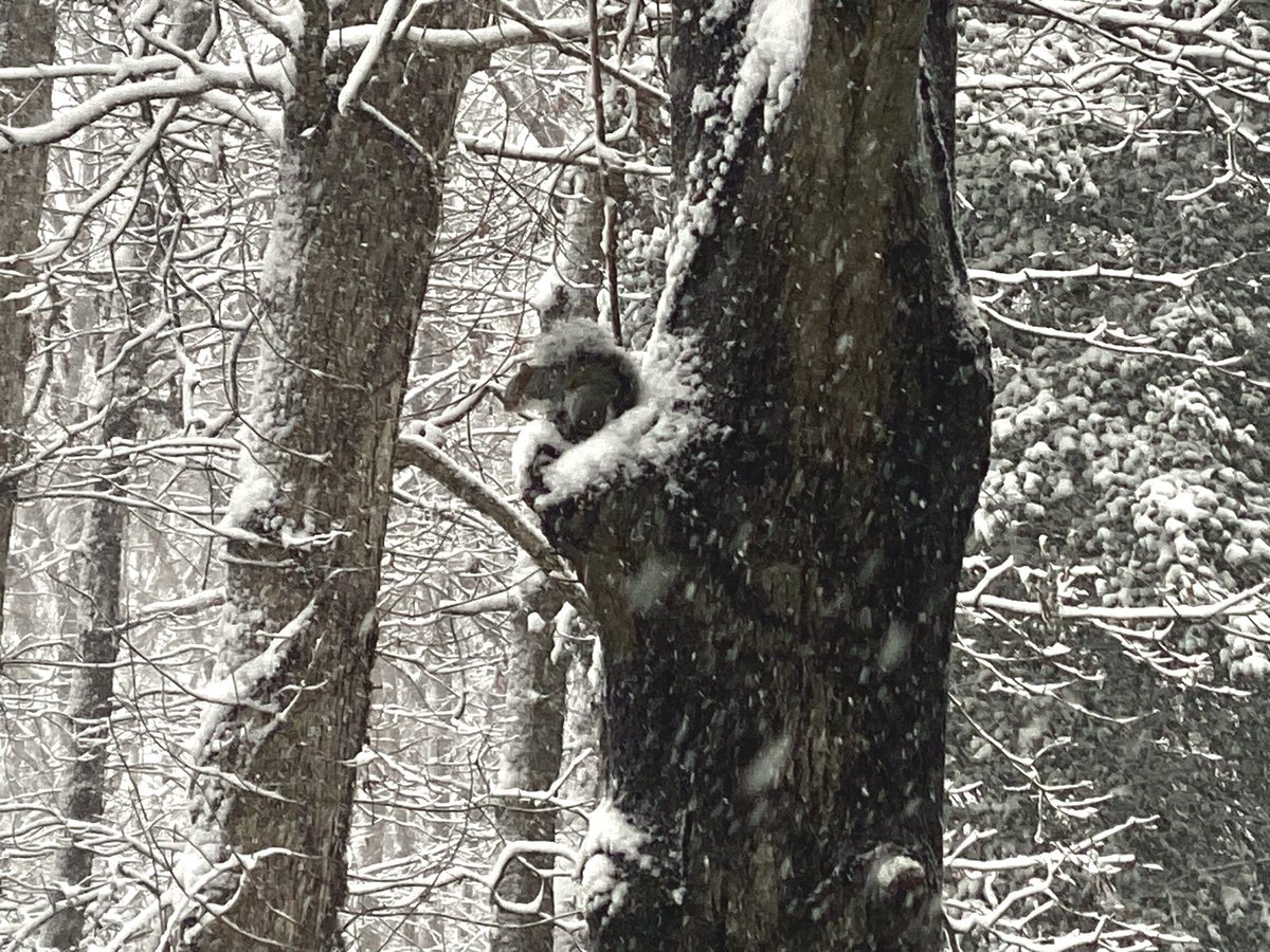 screenwritery's tweet image. 