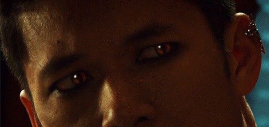 𝑀𝑎𝑔𝑛𝑢𝑠 • 𝐺𝑜𝑙𝑑𝑒𝑛 𝐷𝑟𝑒𝑎𝑚 | Parody | tweet media