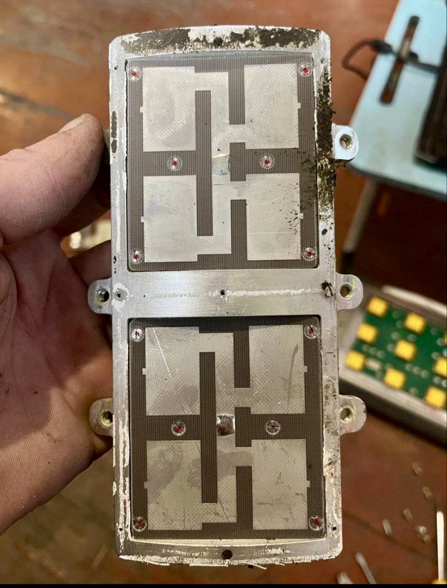 Roy🇨🇦 tweet media