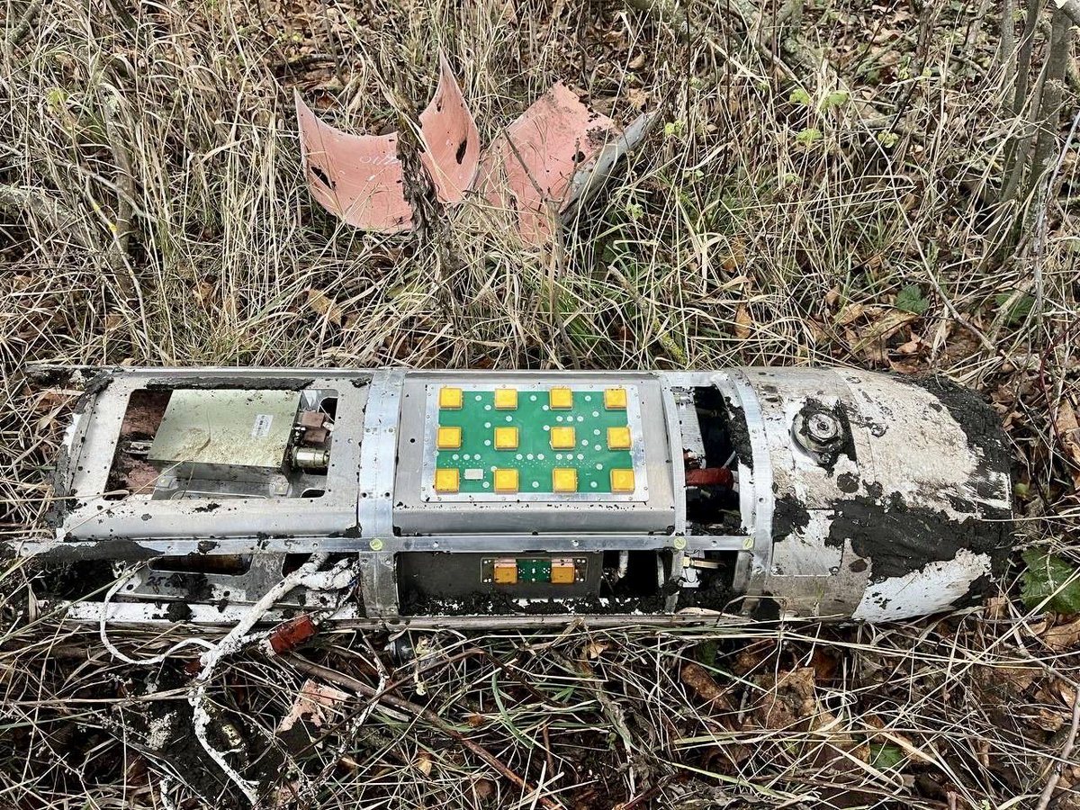 Roy🇨🇦 tweet media