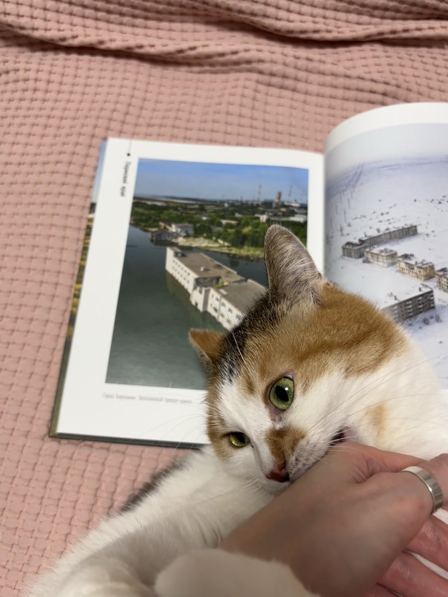 наткнулась в фотокниге на эту жутковатую панельку, но прочувствовать русскую тоску мне не дали: пришла Опушка и вгрызлась в меня так, будто город Березняки затопила вот я лично