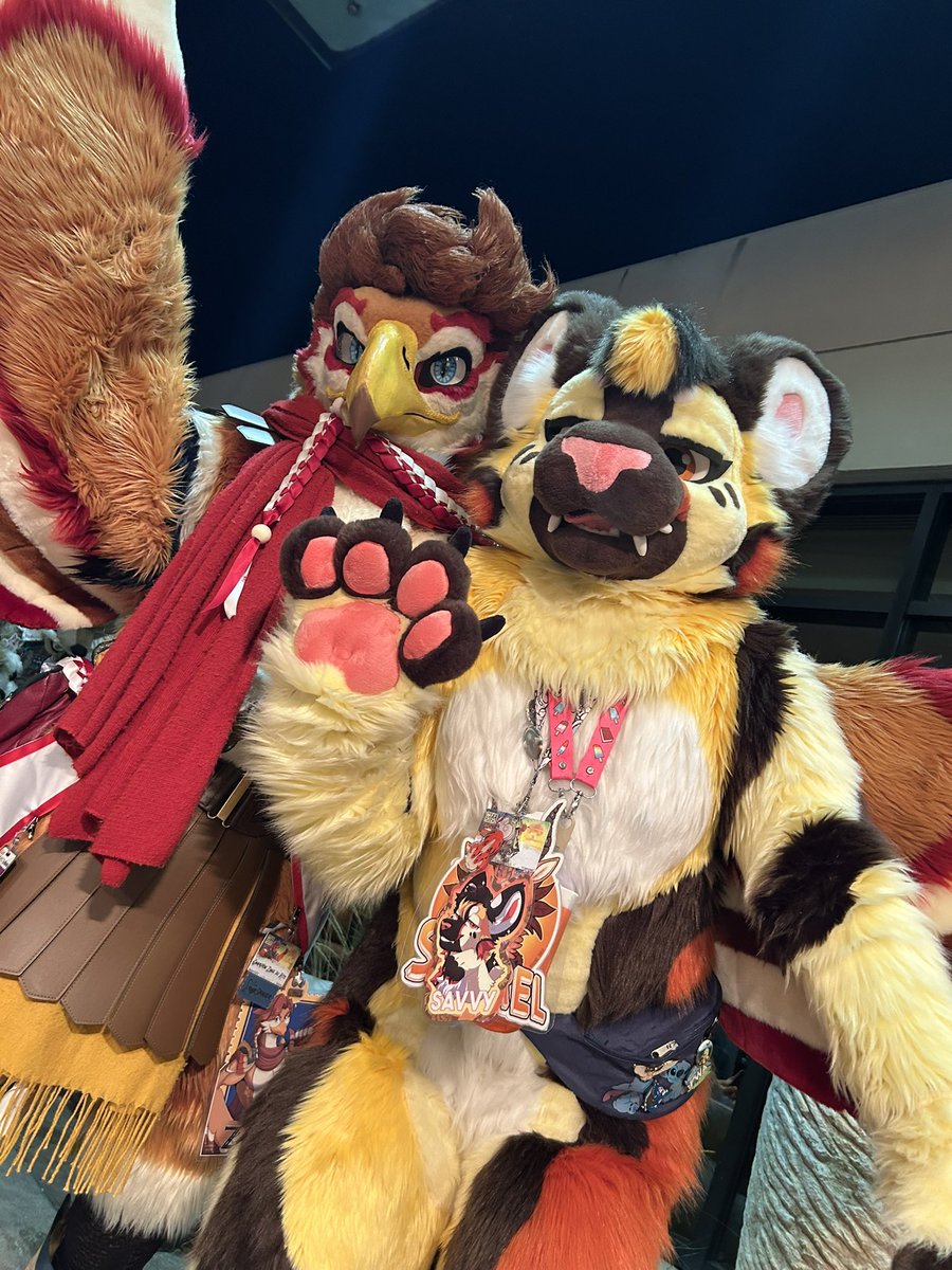 Savvy🐆 🔜 FWA tweet media