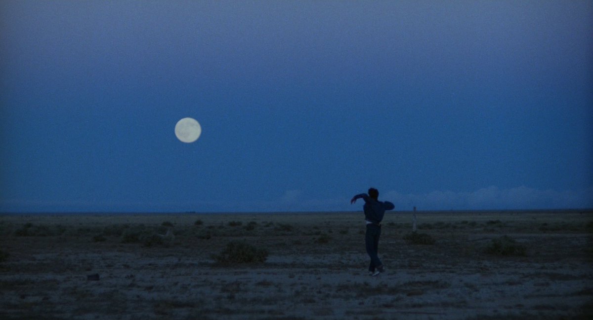Badlands (1973)
Director: Terrence Malick