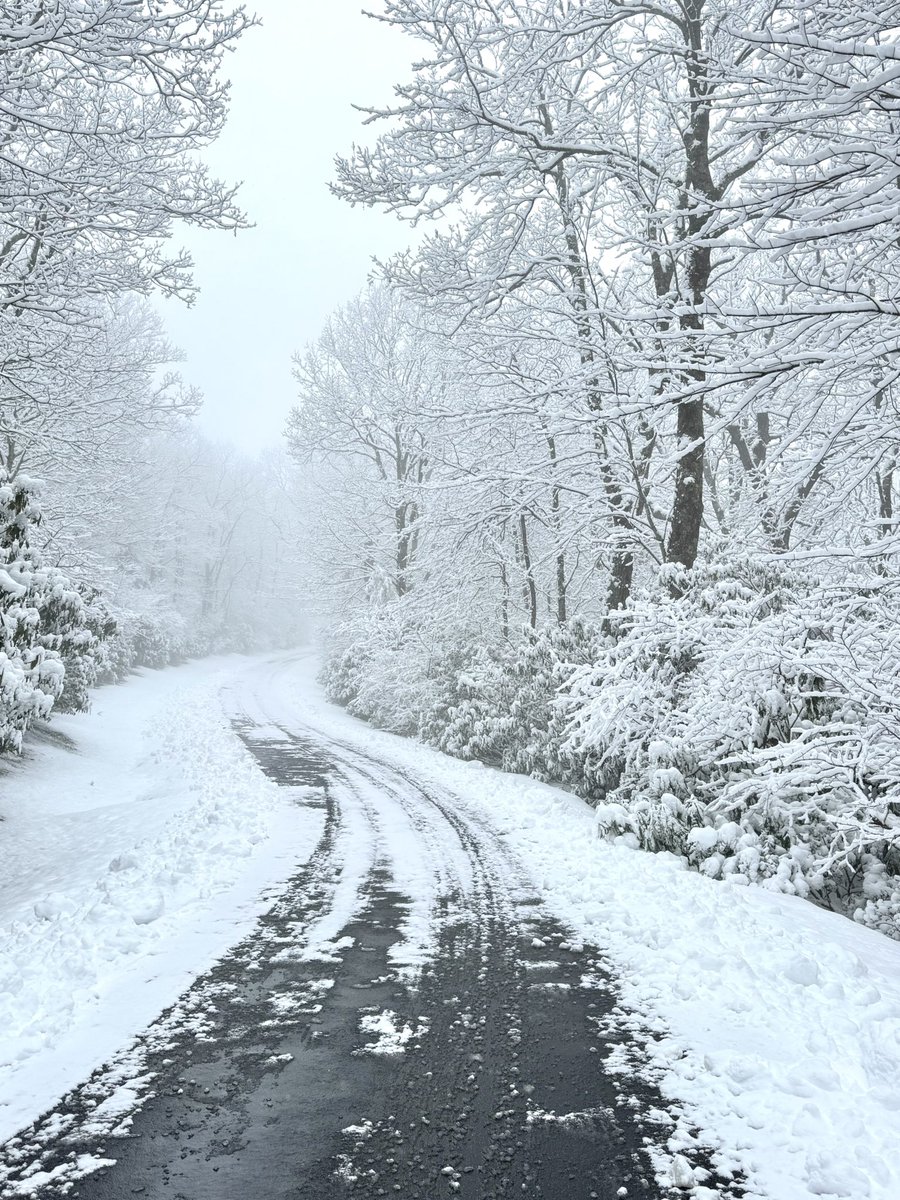 app_life_'s tweet photo. Winter wonderland in western NC https://t.co/NxuFopGpKi