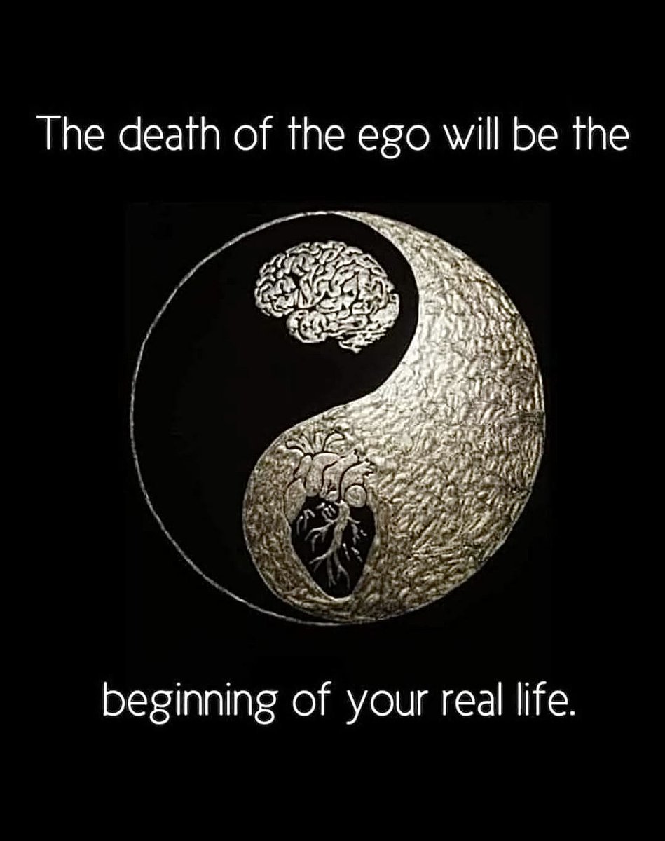 Mind_Essentials's tweet image. 