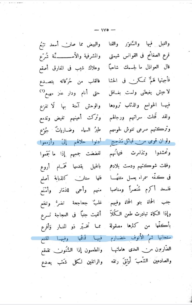 • tweet media