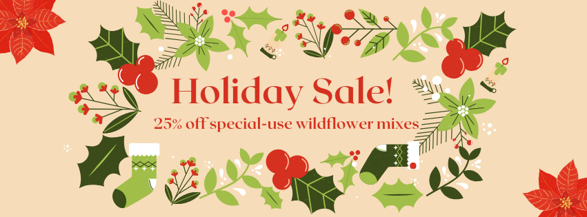 BBB Seed tweet media