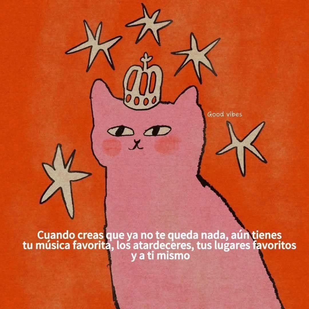 Dilo con gatitoz tweet media