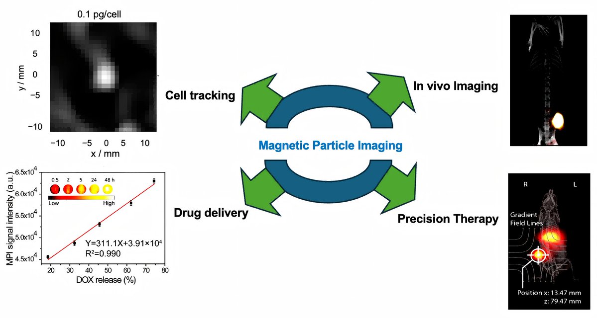 🆕#JNTMDPI Publication: Magnetic Particle Imaging in Oncology: Advances and Prospects for Tumor Progression Monitoring and Targeted Therapy
✍️by Panangattukara Prabhakaran Praveen Kumar
🔗brnw.ch/21wYbCR
#SciComm #Innovation #FutureOfMedicine #EmergingTech #LabToClinic