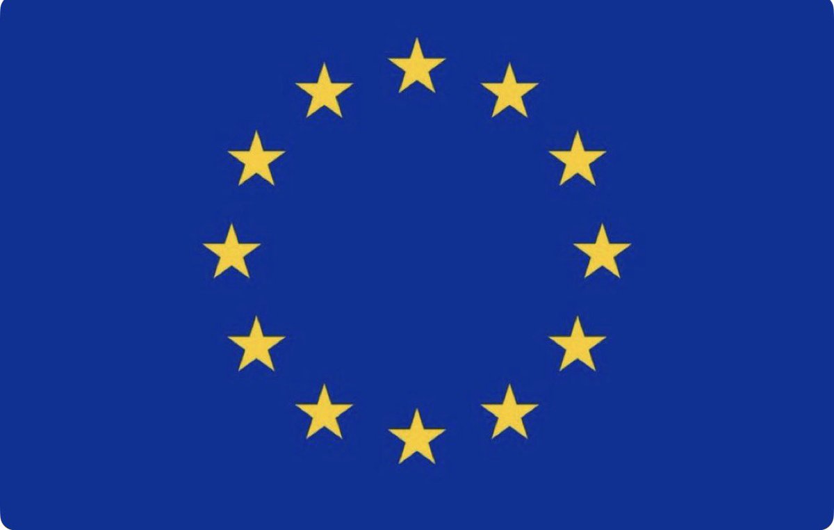gualminielisa's tweet photo. Orgoglioso di essere europea. Di aver studiato l’Unione europea, di aver insegnato politiche europee. E di rappresentare l’Unione europea. I absolutely stand for this flag. #ThisIsMyFlag https://t.co/eGJsN3u8Hr