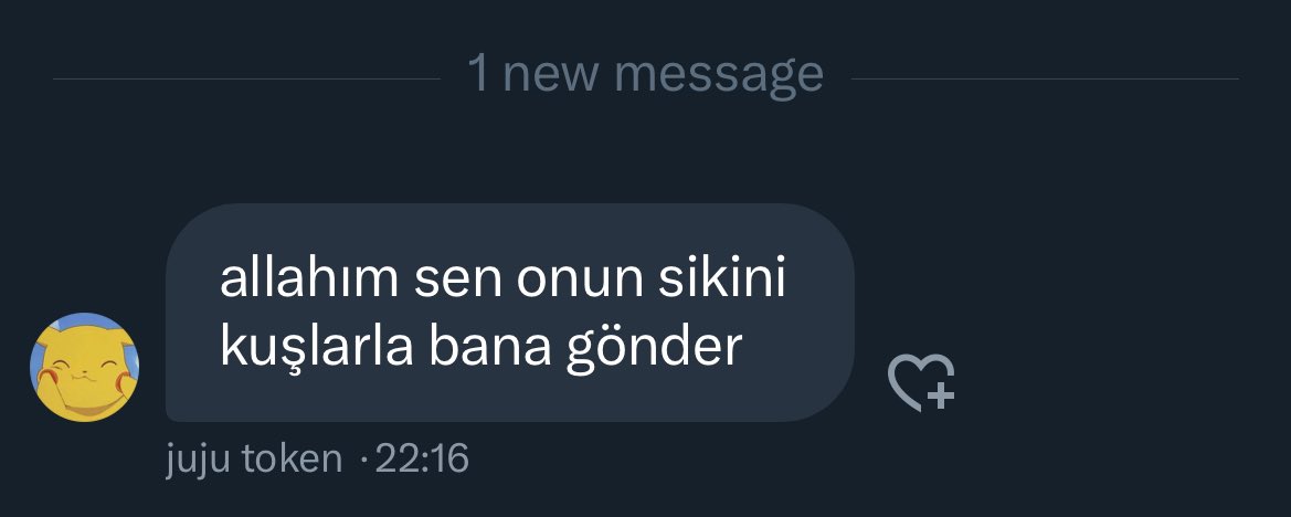 canim kizim bunlar arkadaslarin mi