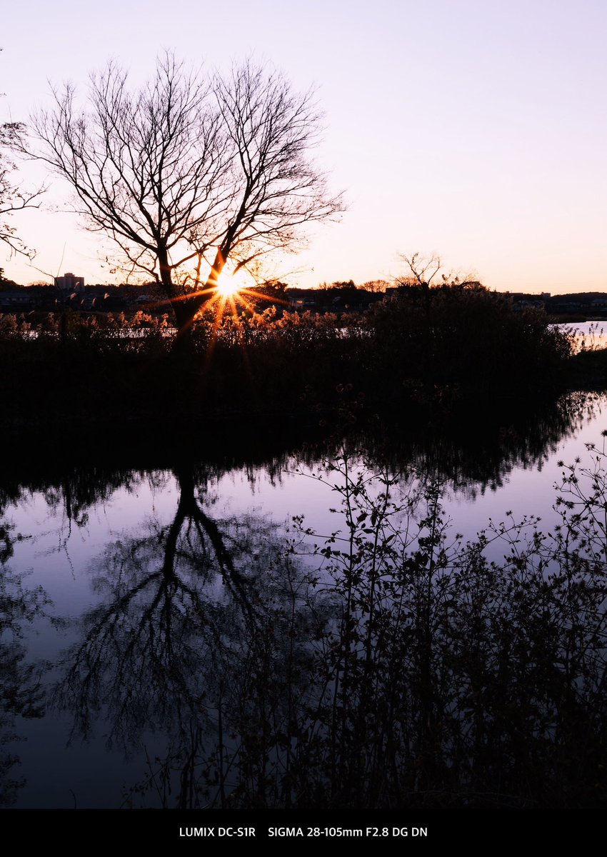 おはようございます