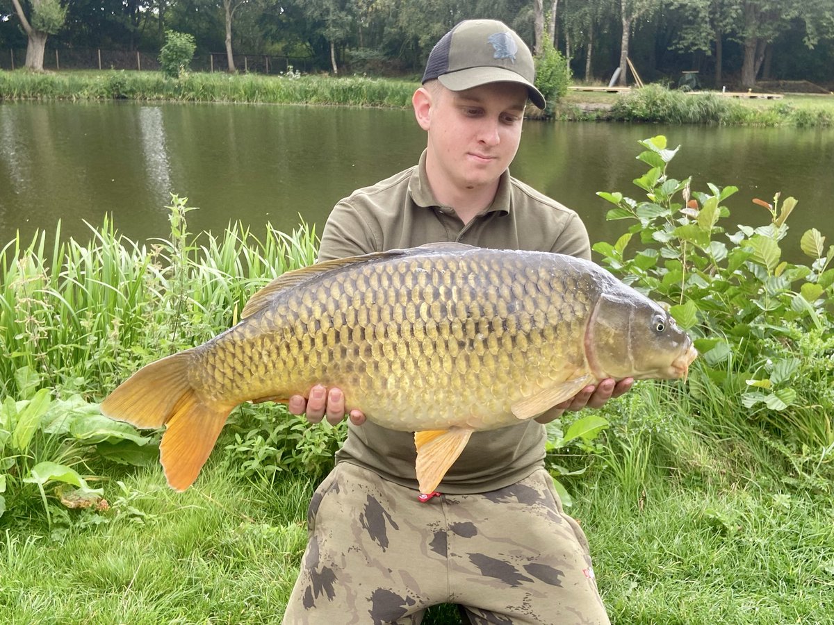 jph_carping's tweet photo. 18lb common from the summer 🎣 ☀️ 
#carpfishing #carpangling #fishing https://t.co/APyNzr3roZ