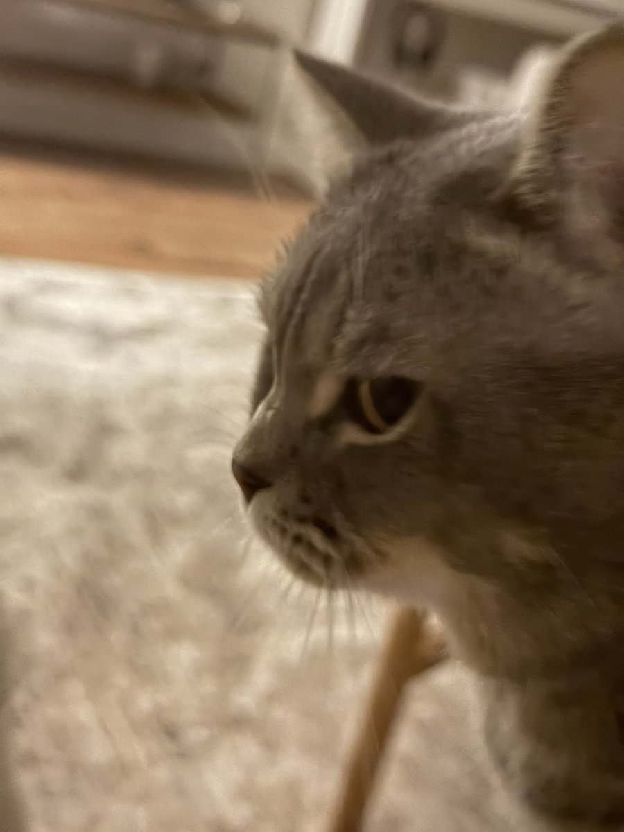 Barışmak istediğinde ama öyle kolay kolay da barışmak istemediğinde