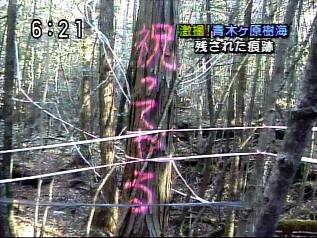 madaomoshiroi's tweet photo. https://t.co/KeqjX6OaDk