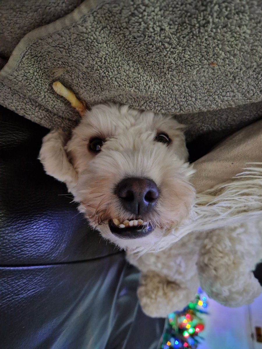 Muvver just took the first photie then laffed saying it was better the other way up! 
#StopYerSniggersWoman #Rood