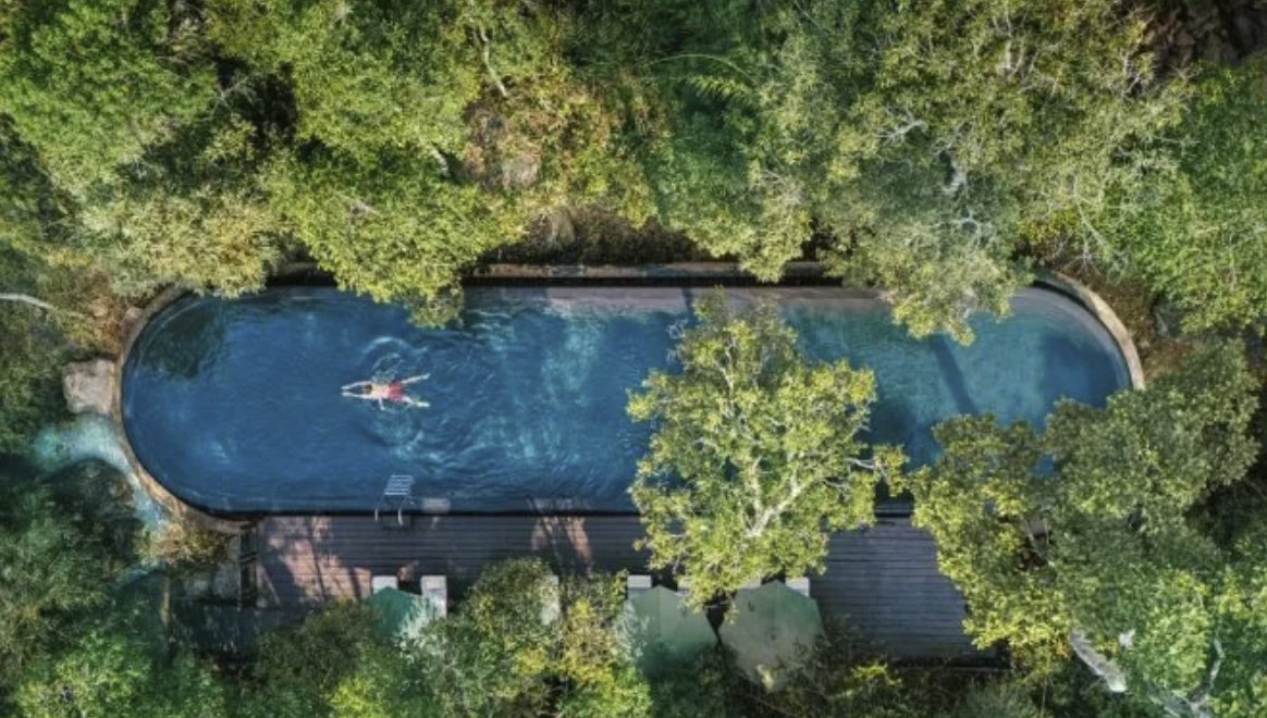 The Untamed Luxury and Conservation Heart of Shinta Mani Wild
thecarousel.com/zipline-to-pur…