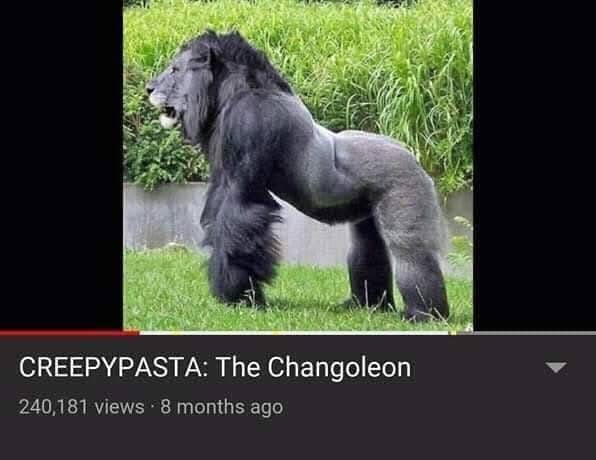 The calachit 🇮🇱✡️ (@the_calamierd6) on Twitter photo 