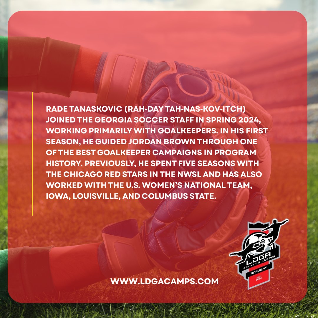LDGA Goalkeeping tweet media