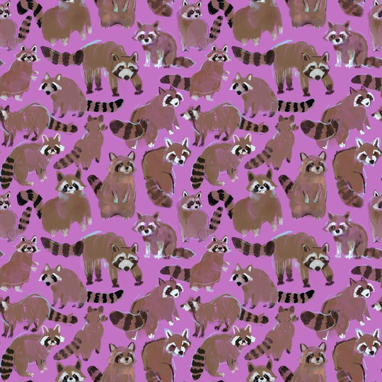 raccoon pattern