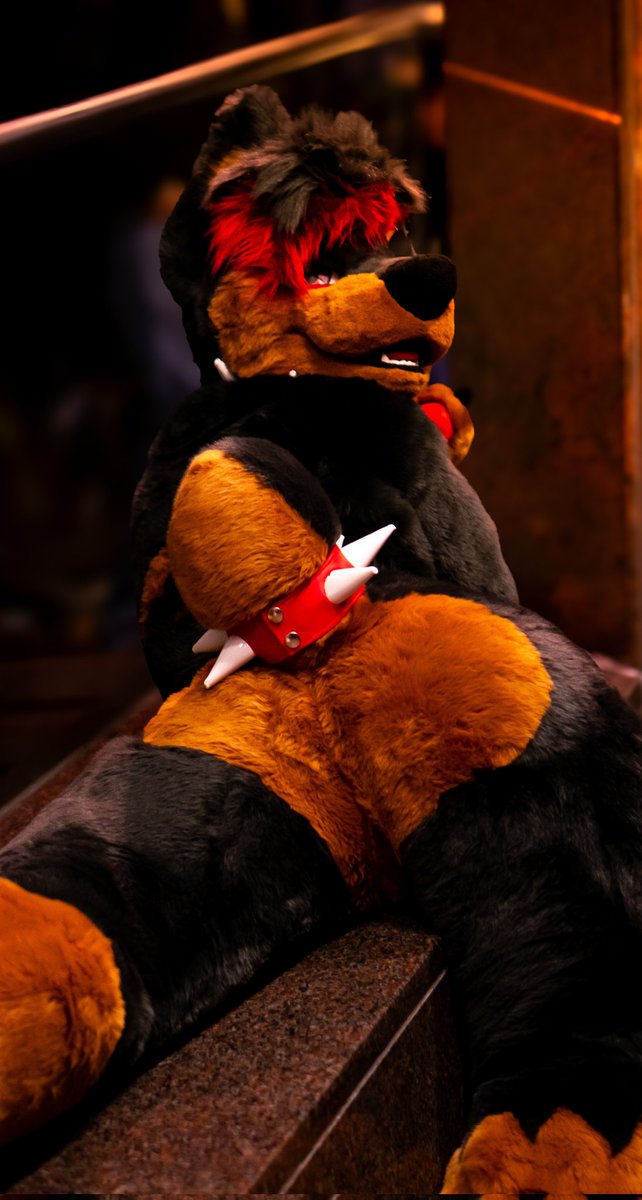 🖤Mutt🖤🔜CFZ tweet media