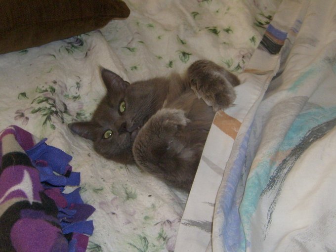 Holly B. tweet media