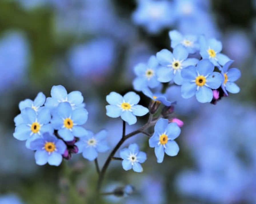 みかりん (@0124_mikarin) / Posts / X