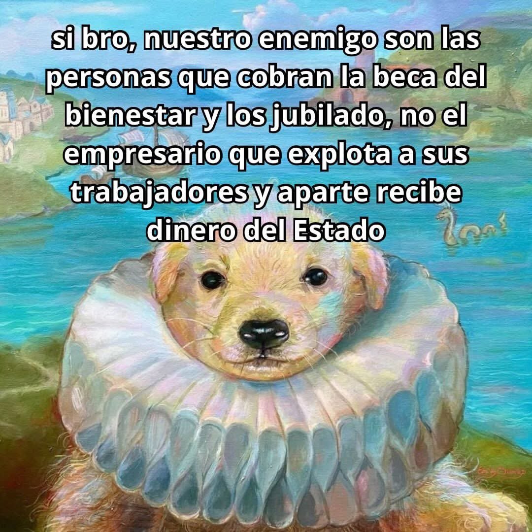 Mowgli420's tweet image. Abusados banda! Abusados!