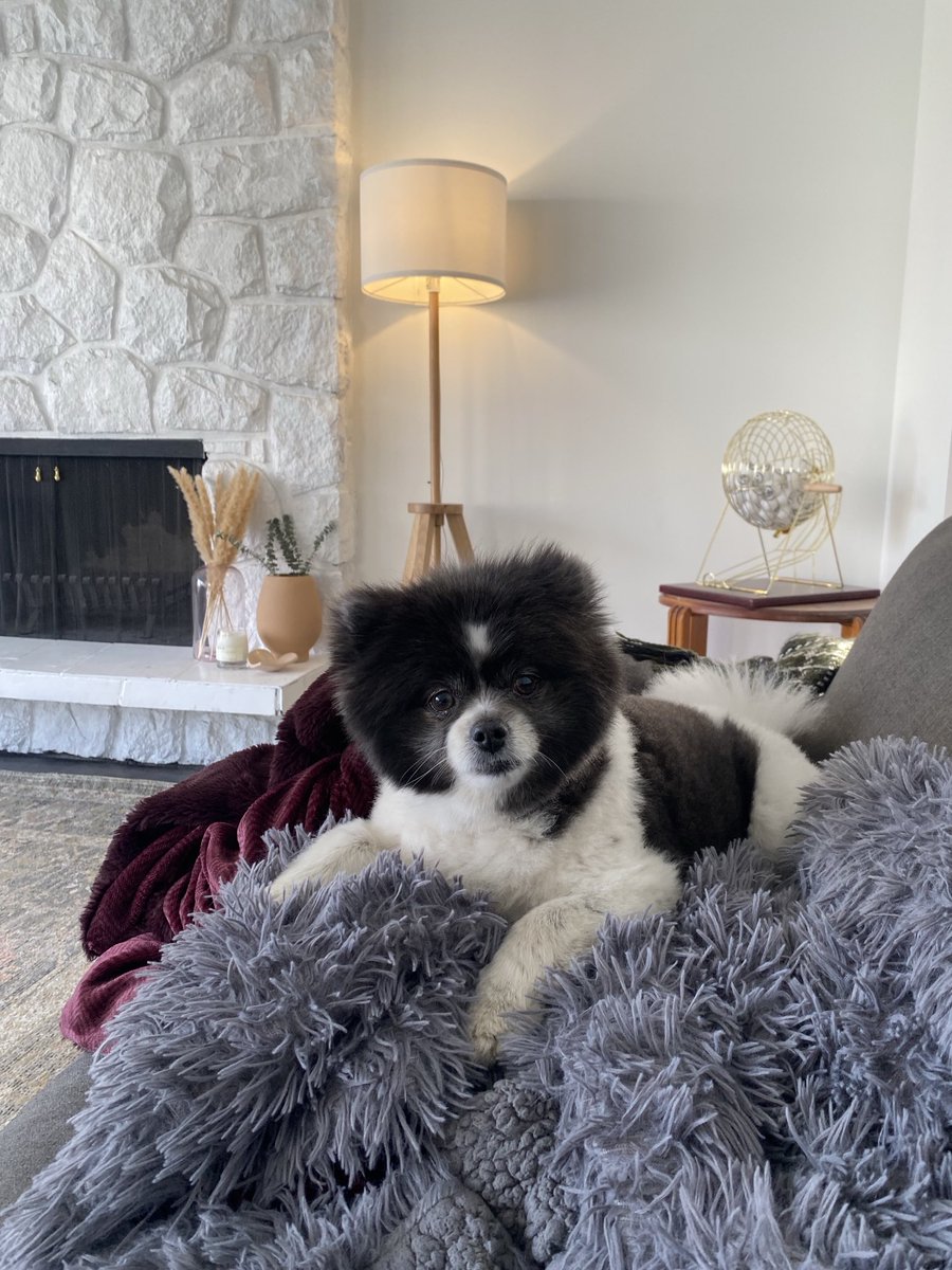 Meg (Taylor’s Version) tweet media