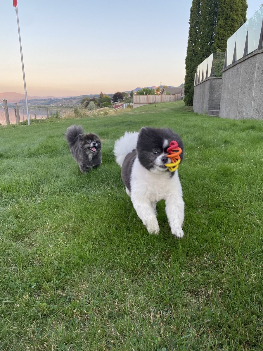 Meg (Taylor’s Version) tweet media