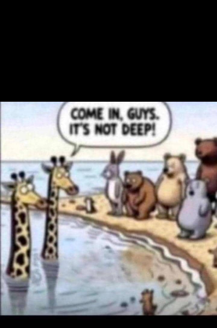 NoPainNoGain tweet media